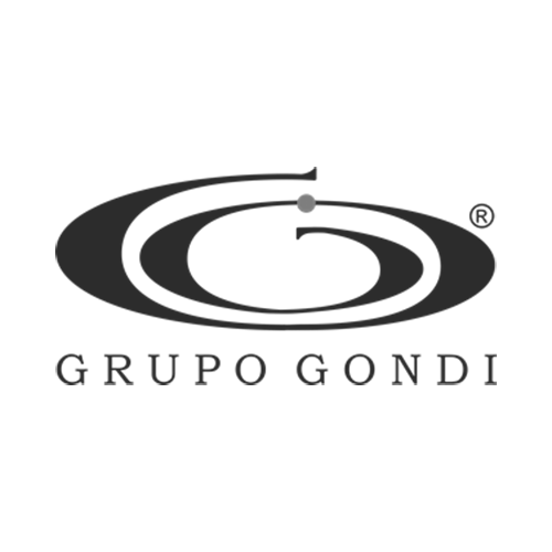 grupo-gondi-logo-CF5E38C5A3-seeklogo.com