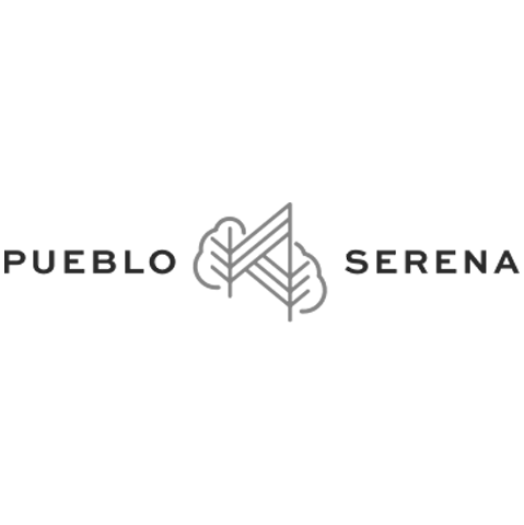 ps-logo-footer@2x